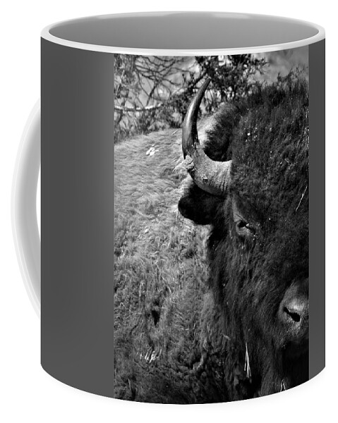 Bison Coffee Mug featuring the photograph Bison Bull 12 Black and White by Amanda R Wright
