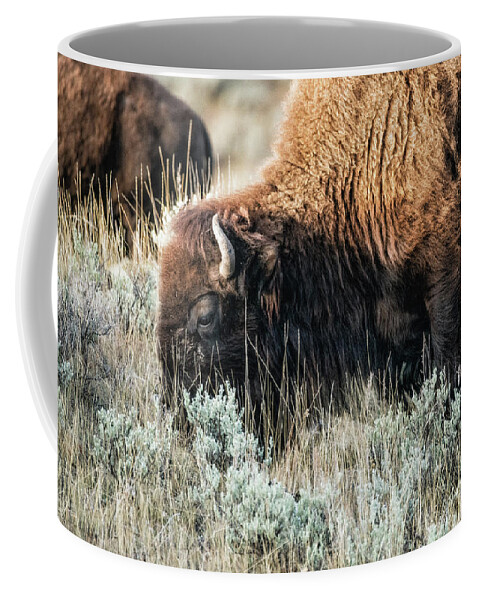 American Bison Coffee Mug featuring the photograph Bison Grazing by Al Andersen