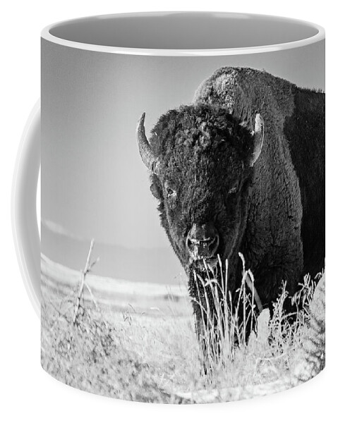 Bison Coffee Mug featuring the photograph Bison in Black and White by Mindy Musick King
