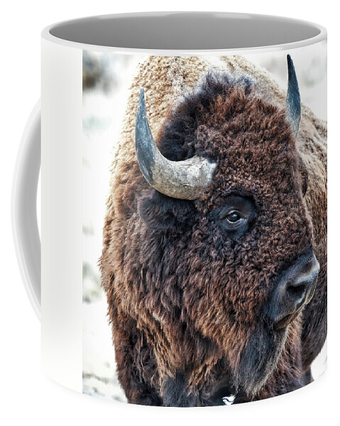 Lenaowens Coffee Mug featuring the photograph Bison the Mighty Beast by OLena Art