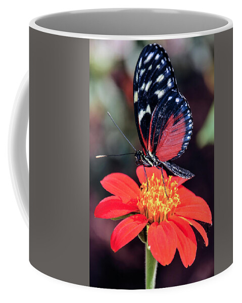 Black Coffee Mug featuring the photograph Black and Red Butterfly on Red Flower by WAZgriffin Digital