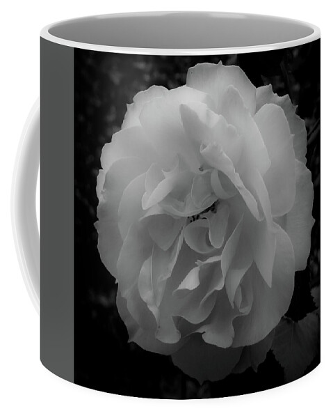 Flower Coffee Mug featuring the photograph Black and White by Anamar Pictures