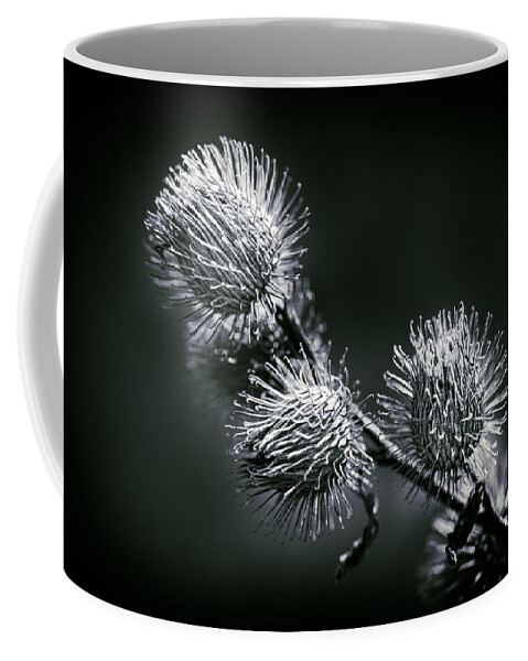 Black And White Photography Coffee Mug featuring the photograph Black and White by Carrie Hannigan