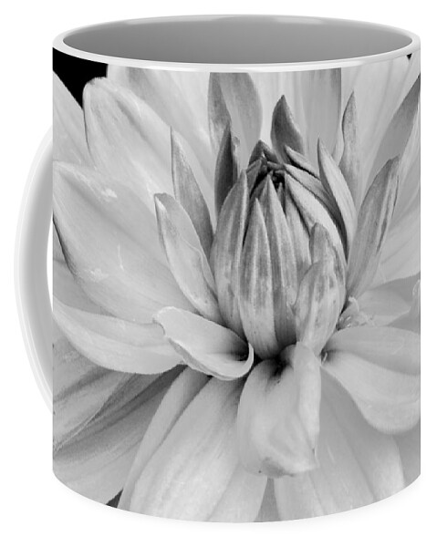 Flower Coffee Mug featuring the photograph Black and White Dahlia 3 by Amy Fose