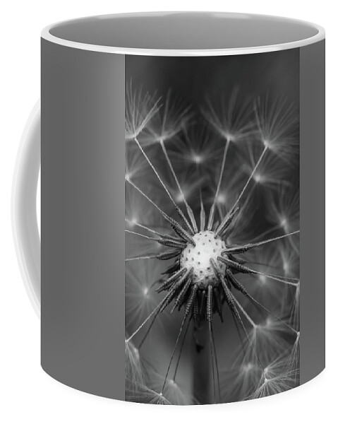 Mountain Coffee Mug featuring the photograph Black and White Dandelion by Go and Flow Photos