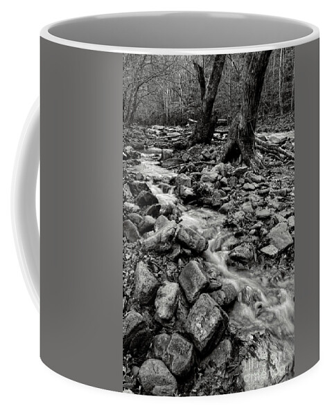 Smoky Mountains Coffee Mug featuring the photograph Black and White Little River 3 by Phil Perkins