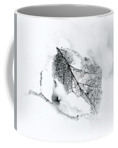 Black And White Coffee Mug featuring the photograph Black and White Winter Leaf Filigree by Carol Senske