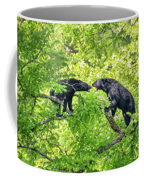 Great Smoky Mountains National Park Coffee Mug featuring the photograph Black Bear Confrontation by Robert J Wagner