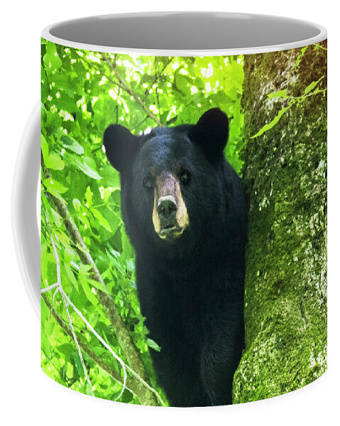 Bear Coffee Mug featuring the photograph Black Bear Up a Tree in the Croatan by Bob Decker