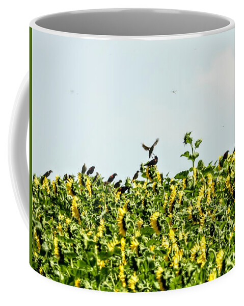 Sunflowers Coffee Mug featuring the photograph Black Birds in the Sunflowers by Amanda R Wright