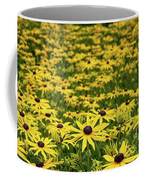 Black Coffee Mug featuring the photograph Black-eyed Susans by Nigel R Bell