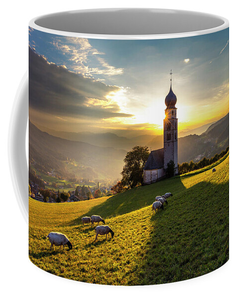Nature Coffee Mug featuring the photograph Black Heads by Evgeni Dinev