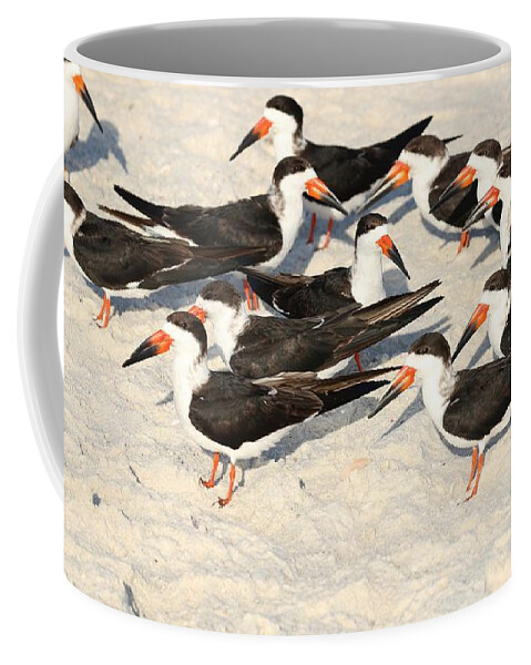 Black Skimmers Coffee Mug featuring the photograph Black Skimmers by Mingming Jiang