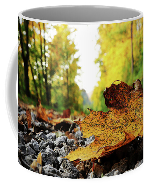 Acer Coffee Mug featuring the photograph Black spotted yellow marple leaf on gravel road which surrounded forest, which playing many colors. Pinch of autumn in semptember by Vaclav Sonnek