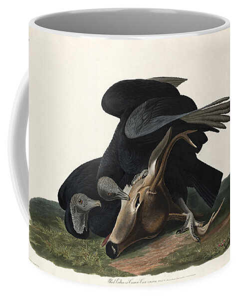 Robert Havell Coffee Mug featuring the drawing Black Vulture by Robert Havell