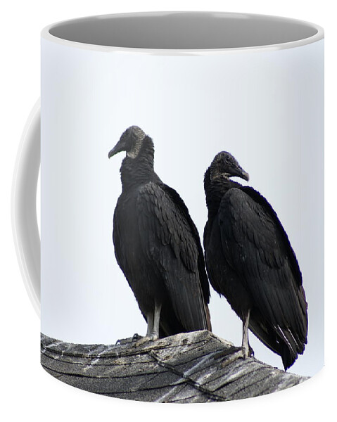  Coffee Mug featuring the photograph Black Vultures by Heather E Harman