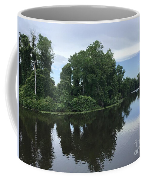 Blackwater Coffee Mug featuring the photograph Blackwater River Tree Show by Catherine Wilson