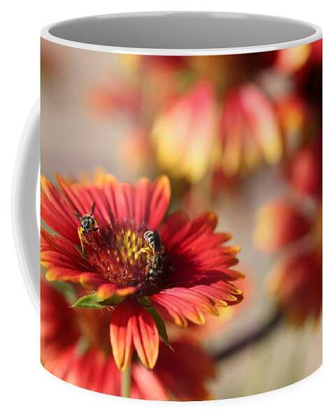 Blanket Flowers Coffee Mug featuring the photograph Blanket Flowers by Mingming Jiang