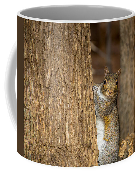 Mammal Coffee Mug featuring the photograph Blending In by Rick Nelson
