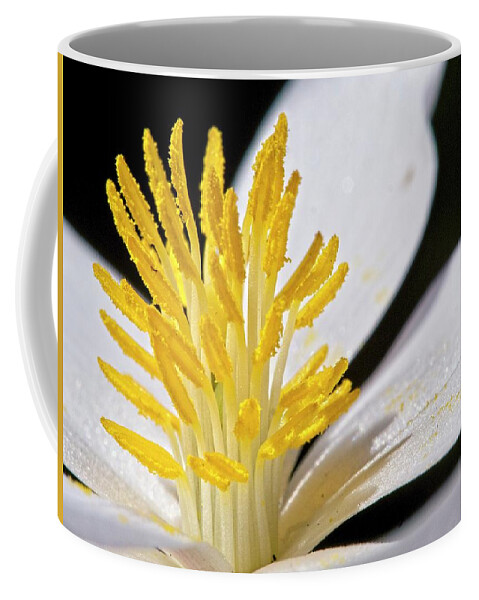 Flowers Coffee Mug featuring the photograph Bloodroot 9 by Steven Ralser
