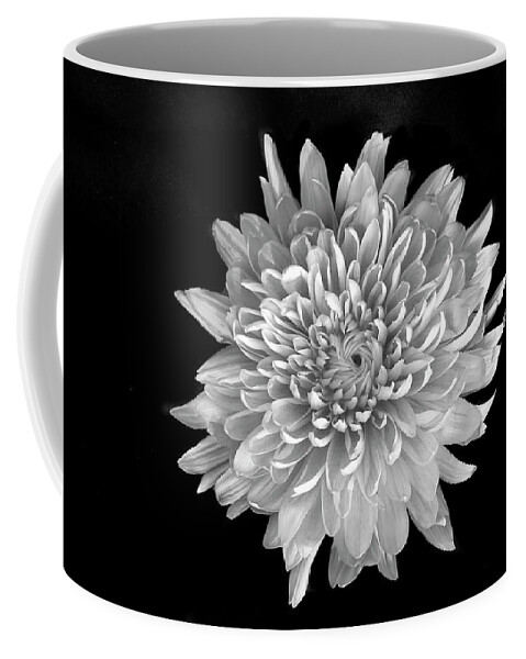 Flower Coffee Mug featuring the photograph Blooming Chrysanthemum by Lori Hutchison