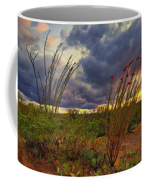 Ocotillo Coffee Mug featuring the photograph Blooming Ocotillos at Sunset by Chance Kafka