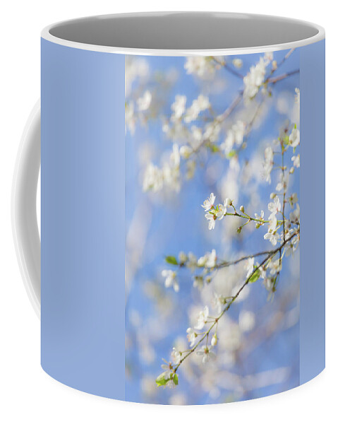 Blossom Coffee Mug featuring the photograph Blossom and Blue Skies by Anita Nicholson