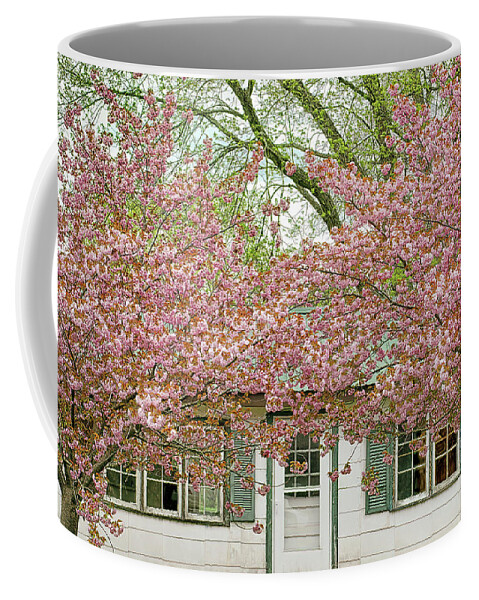 Blossom Trees Coffee Mug featuring the photograph Blossom Time Taking Over by Kathi Mirto