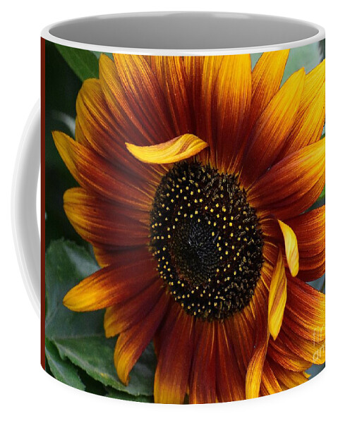 Sunflowers Coffee Mug featuring the photograph Blowing Sunflower by Jimmy Chuck Smith