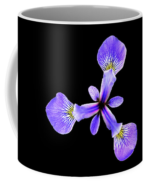 Iris Coffee Mug featuring the photograph Blue Flag Iris by Jim Hughes