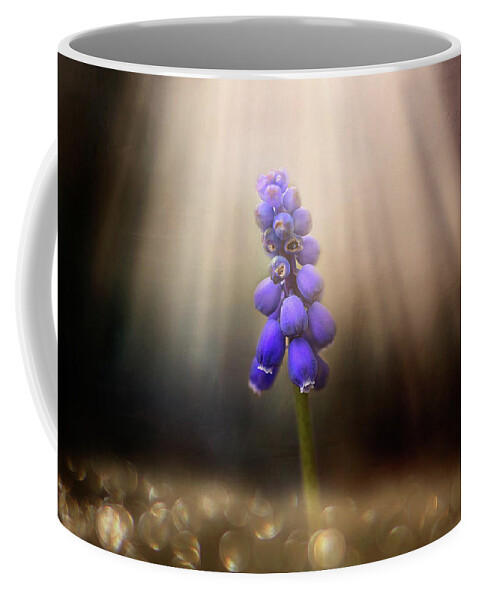 Blue Grape Hyacinth Print Coffee Mug featuring the photograph Blue Grape Hyacinth Print by Gwen Gibson