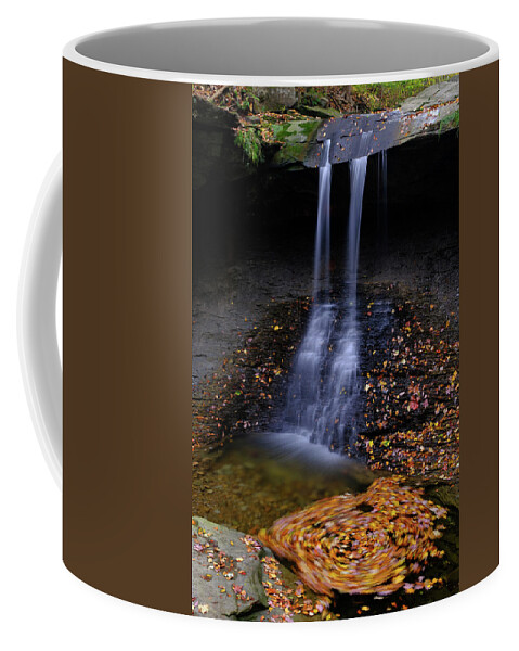 Blue Hen Coffee Mug featuring the photograph Blue Hen Falls in the Fall by Clint Buhler