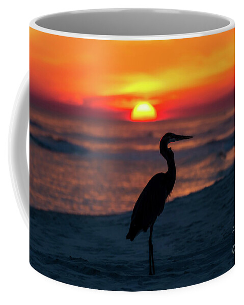 Great Coffee Mug featuring the photograph Blue Heron Beach Sunset by Beachtown Views