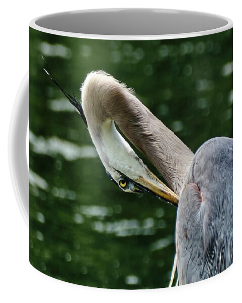 Grand Héron Coffee Mug featuring the photograph Blue heron close up by Carl Marceau