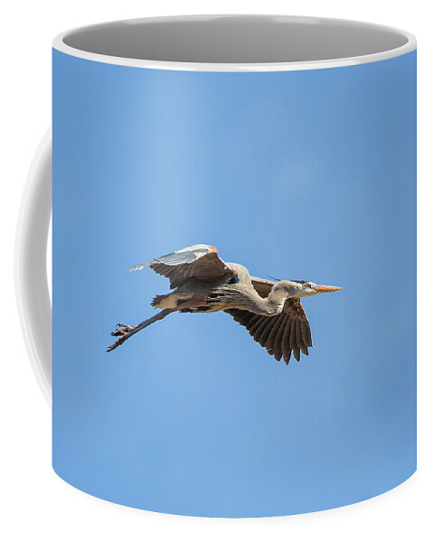 Blue Heron In Flight Coffee Mug featuring the photograph Blue Heron In Flight by Dale Kincaid