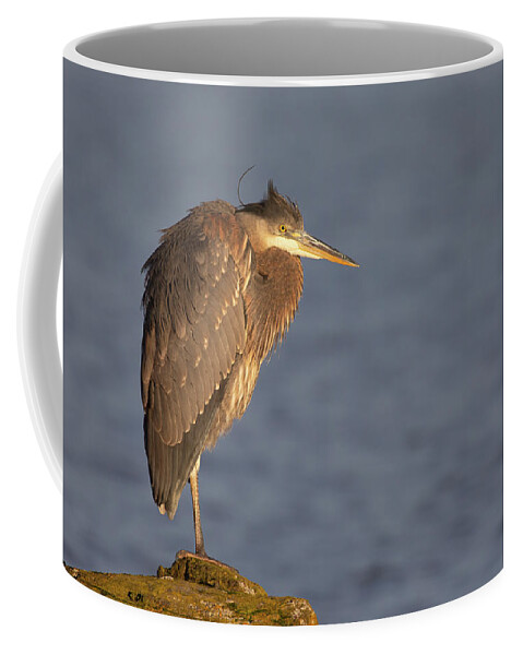 Blue Heron Coffee Mug featuring the photograph Blue Heron Sunset Horizontal by Michael Rauwolf
