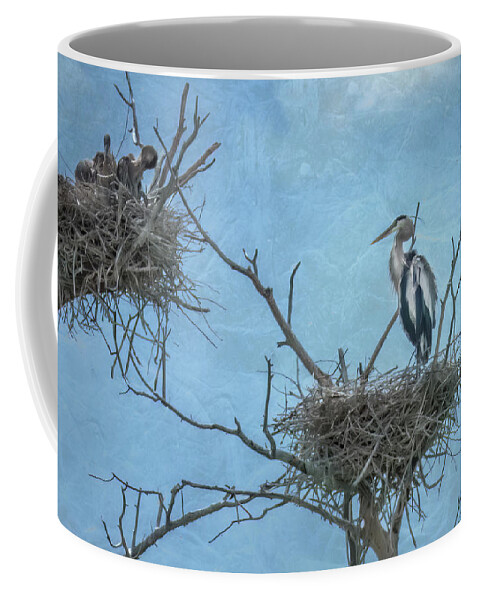 Blue Herons Coffee Mug featuring the photograph Blue Herons by Laura Terriere