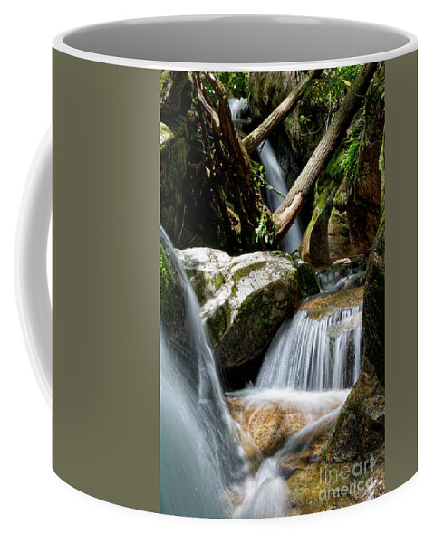 Nature Coffee Mug featuring the photograph Blue Hole Falls 11 by Phil Perkins
