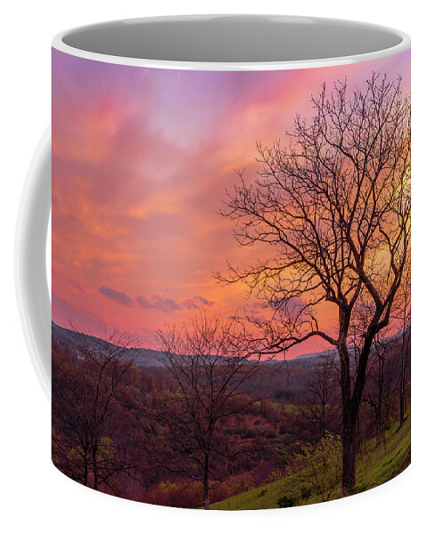 Sunset Coffee Mug featuring the photograph Blue Hour Sunset Trexler Nature Preserve by Jason Fink