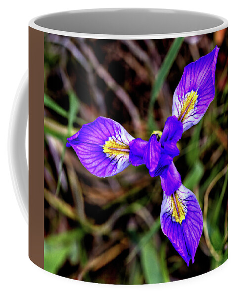 Flower Coffee Mug featuring the photograph Blue Iris by Bob Falcone