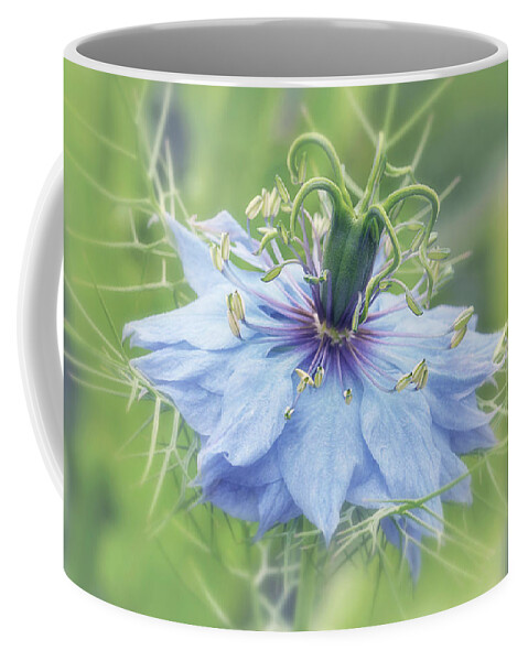 Blue Flower Coffee Mug featuring the photograph Blue Love in a Mist by Maria Meester