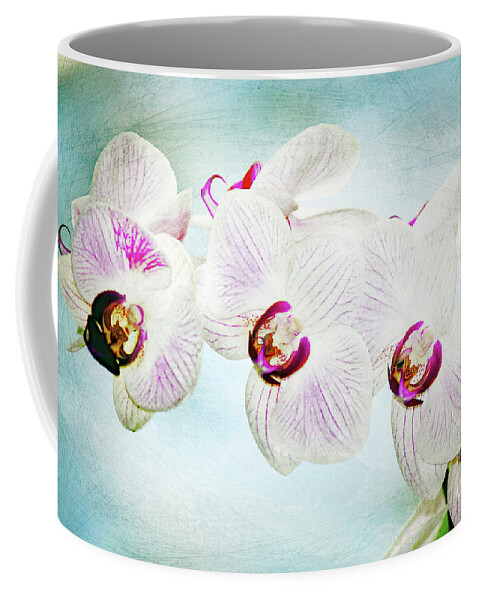 Orchid; Orchids; Purple Orchid; Purple Orchids; Flower; Purple; Purple Flower; Photography; Digital Art; Flowers; Floral; Flora; Digital Art; Photography; Blue; Green; Simple; Decorative; Décor; Macro; Close-up Coffee Mug featuring the photograph Blue Orchid Arch by Tina Uihlein