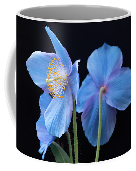 Longwood Gardens Coffee Mug featuring the photograph Blue Poppy by Georgette Grossman