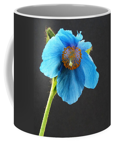 Richard Reeve Coffee Mug featuring the photograph Blue Poppy by Richard Reeve