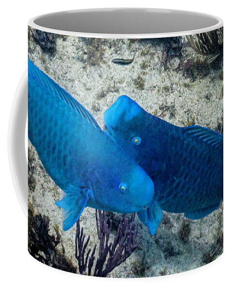 Animals Coffee Mug featuring the photograph Blue Two by Lynne Browne