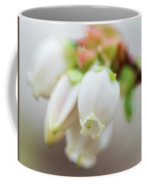 Flower Coffee Mug featuring the photograph Blueberry Blossoms by Kristia Adams