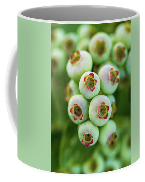 Food Coffee Mug featuring the photograph Blueberry Bush 2 by Amelia Pearn