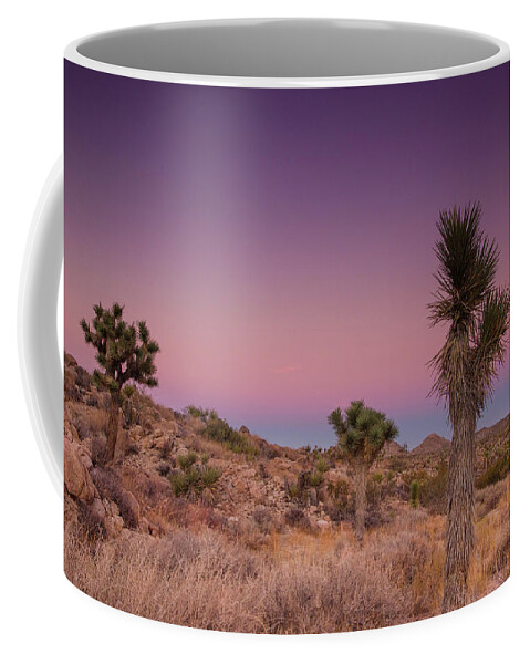 Joshua Tree Hikes Coffee Mug featuring the photograph Blues and Pinks in the Mojave by Kunal Mehra