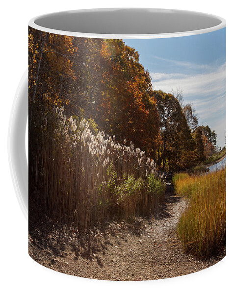 Bluff Point Coffee Mug featuring the photograph Bluff Point Stroll by Kirkodd Photography Of New England