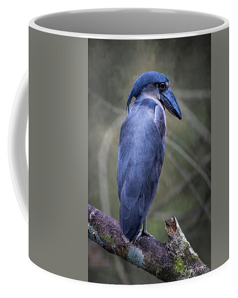 Gary Johnson Coffee Mug featuring the photograph Boat-Billed Heron by Gary Johnson